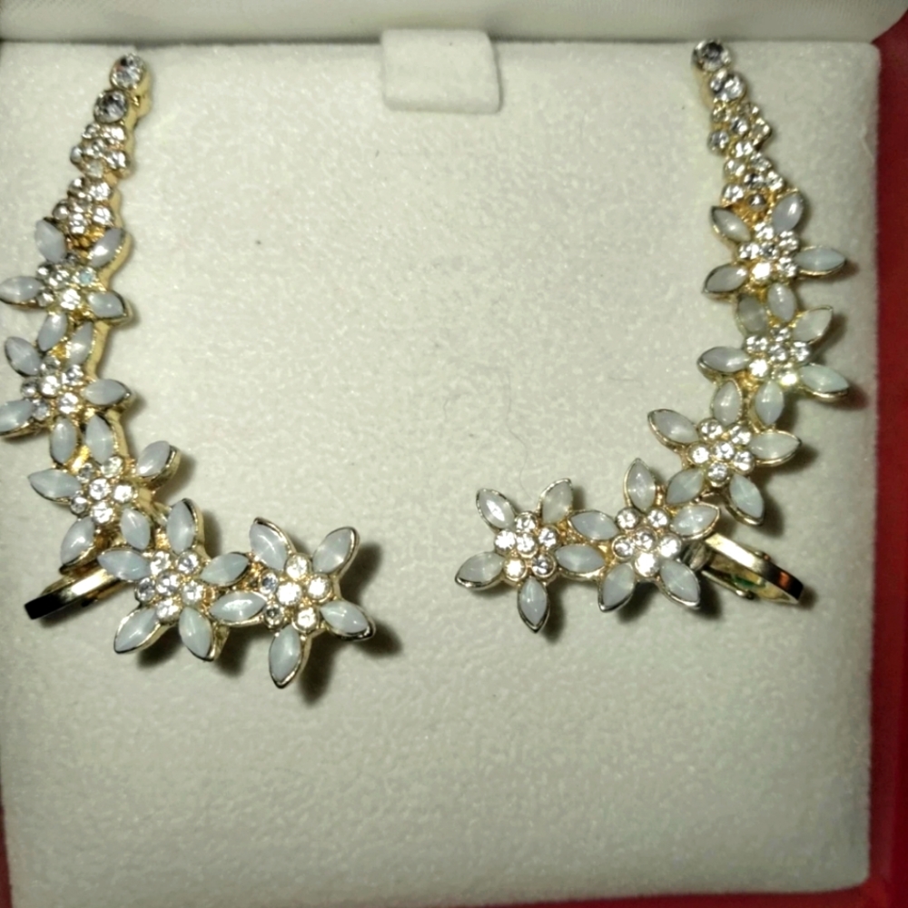 Mother of Pearl earrings
